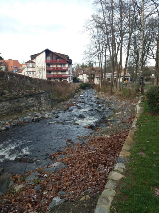 Ferienwohnung Malia In Waldnaehe Mit Schoenem Balkonausblick Bad Harzburg Eksteriør bilde